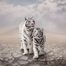 Схема вышивки «№619546»