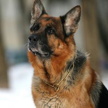 Схема вышивки «№619550»