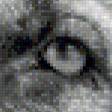 Предпросмотр схемы вышивки «собачка» (№619575)
