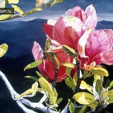 Схема вышивки «яблоневый цвет»