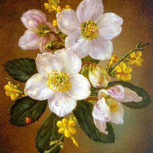 Схема вышивки «белые цветы»