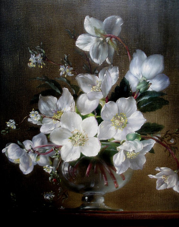 белые цветы - цветы - оригинал