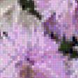 Предпросмотр схемы вышивки «букет астр» (№619677)