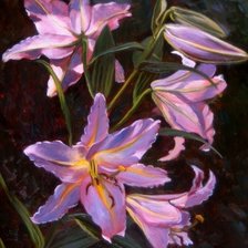 Схема вышивки «лилии»