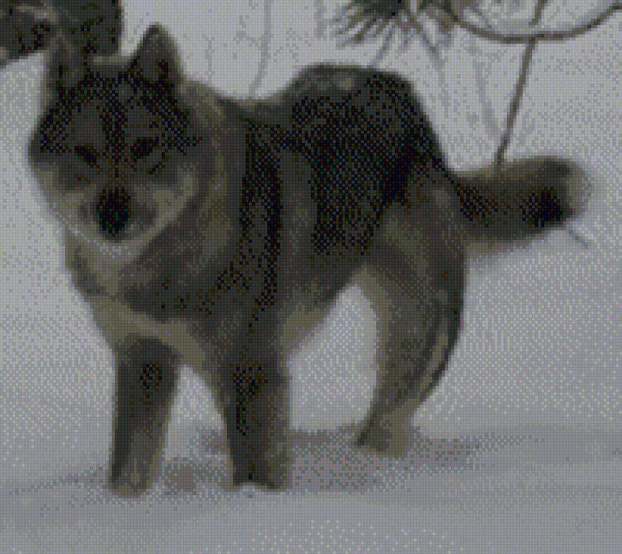 лайка - предпросмотр