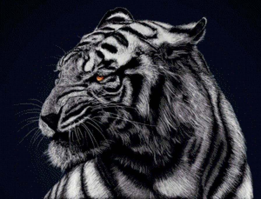 №619932 - кошка, зверь, тигр, животное - предпросмотр