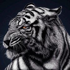 Схема вышивки «№619932»