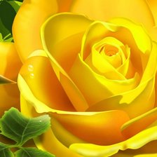 Схема вышивки «люблю розы»