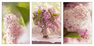 №619953 - оригинал