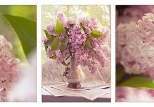 Схема вышивки «№619953»