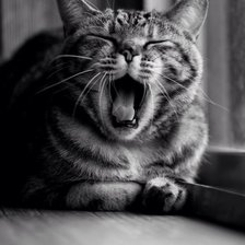 Схема вышивки «№619964»