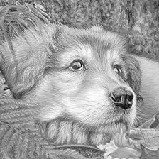 Схема вышивки «ВЕРНОСТЬ монохром»