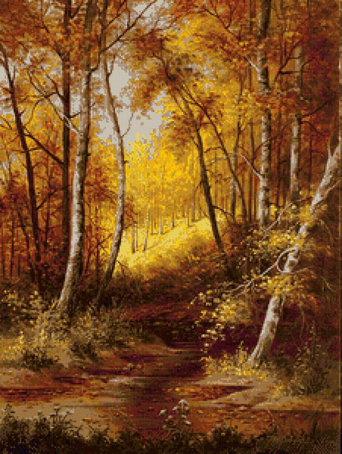 Осень в берёзовом лесу - березы, лес, осень, пейзаж - предпросмотр