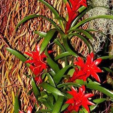 Схема вышивки «№620123»