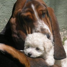 Схема вышивки «Большой и маленький»