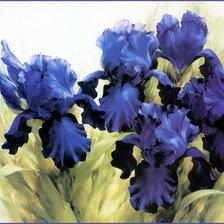 Схема вышивки «ирисы»