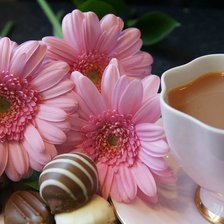 Схема вышивки «гербера»