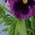 Предпросмотр схемы вышивки «анютины глазки» (№620166)