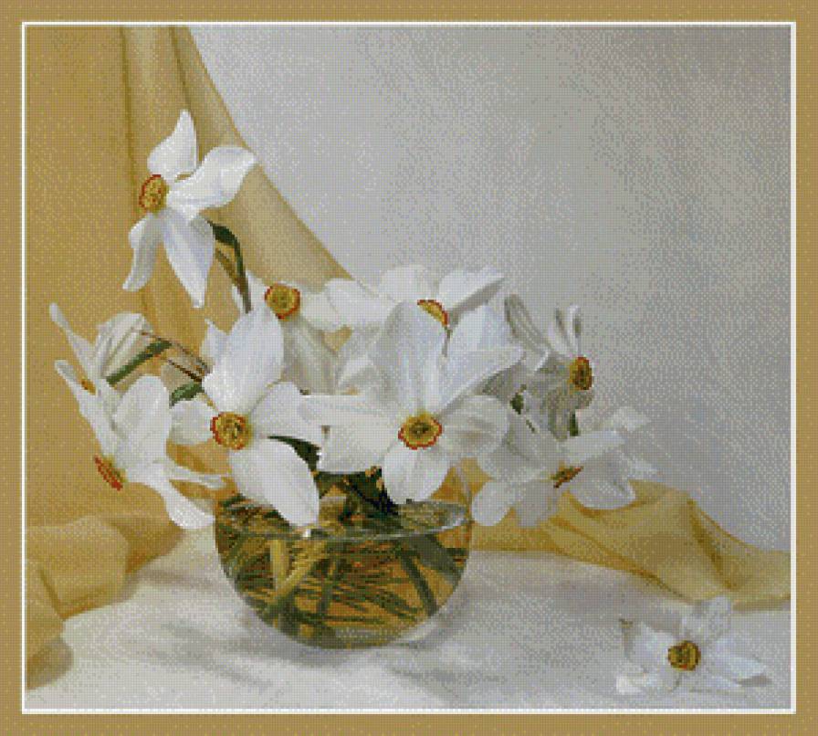 нарцисы - цветы.нарцисы - предпросмотр