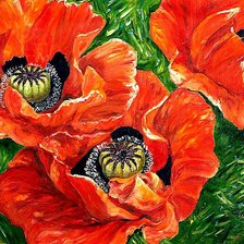 Схема вышивки «Маки»