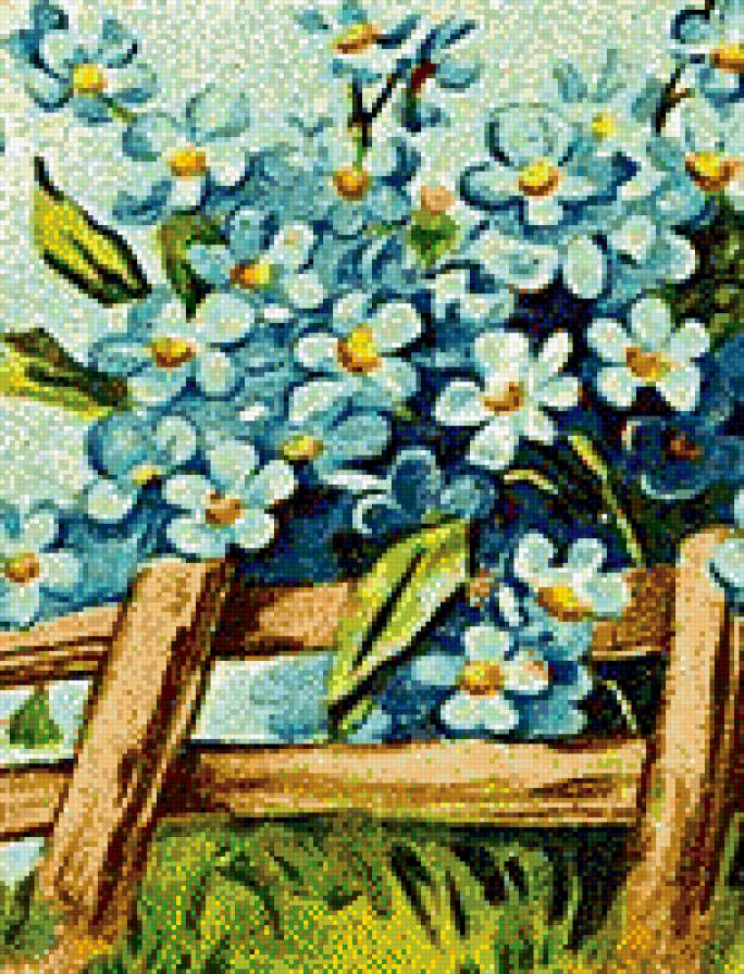 незабудки - цветы, незабудки, букет - предпросмотр