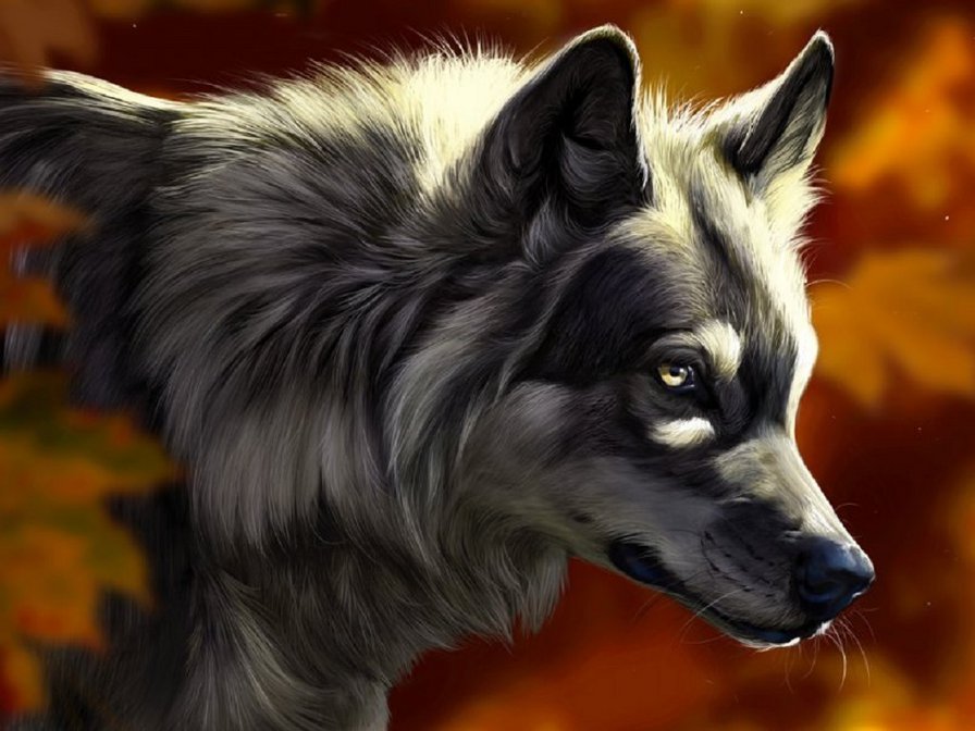 волк - хищник, волк, природа, животные - оригинал