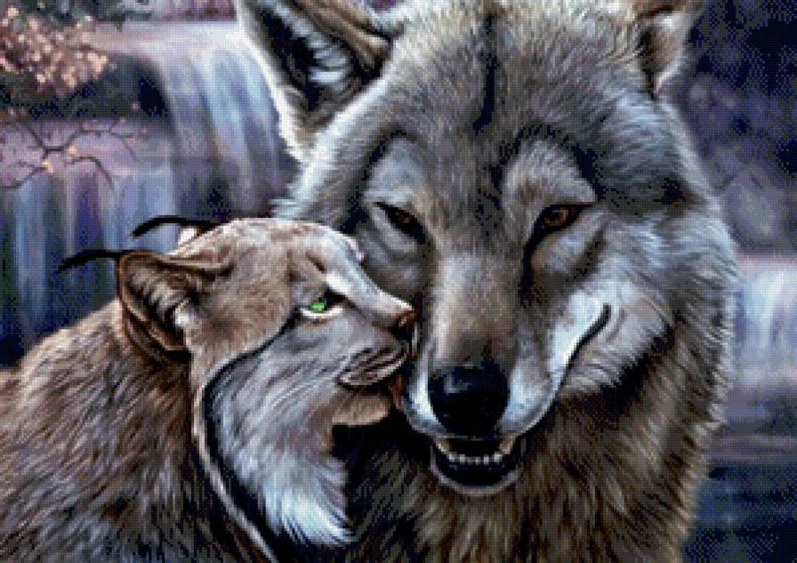 хищники - хищник, волк, природа, животные, мираж - предпросмотр