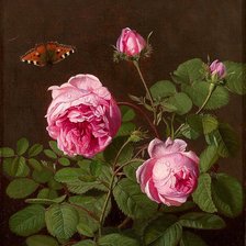 Схема вышивки «Бабочка и роза»