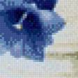 Предпросмотр схемы вышивки «Синее чудо» (№620647)