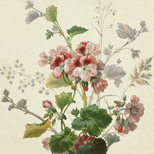 Схема вышивки «№620705»