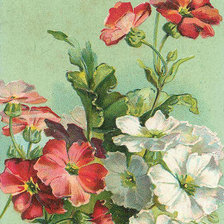 Схема вышивки «№620708»