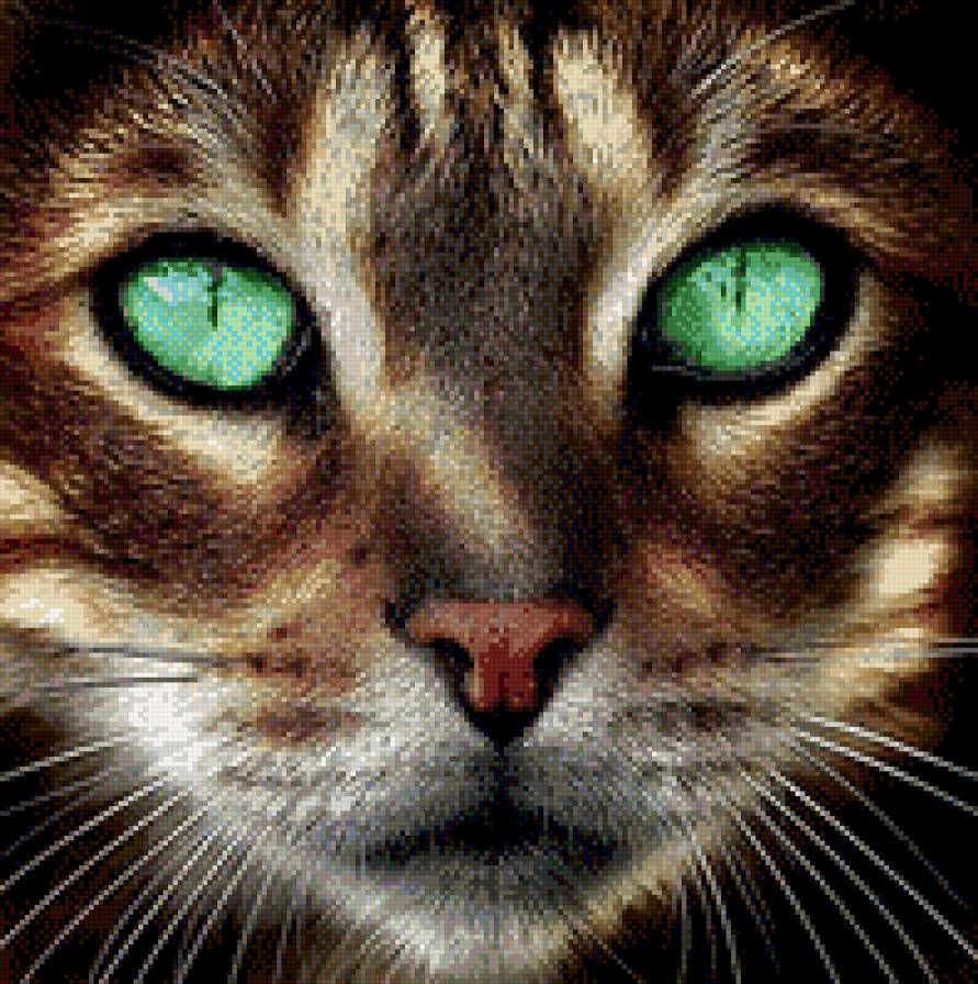 кошка - животные, кошка - предпросмотр