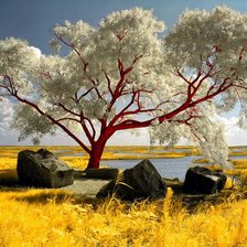 Схема вышивки «xn»