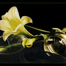 Схема вышивки «Натюрморт с лилиями»