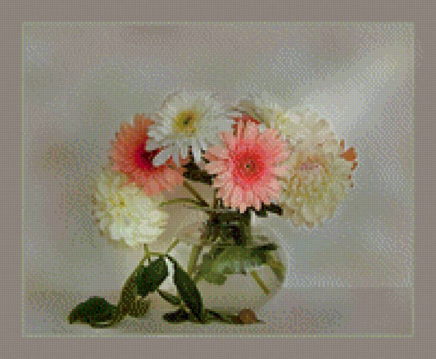 Нежные герберы - герберы, цветы - предпросмотр