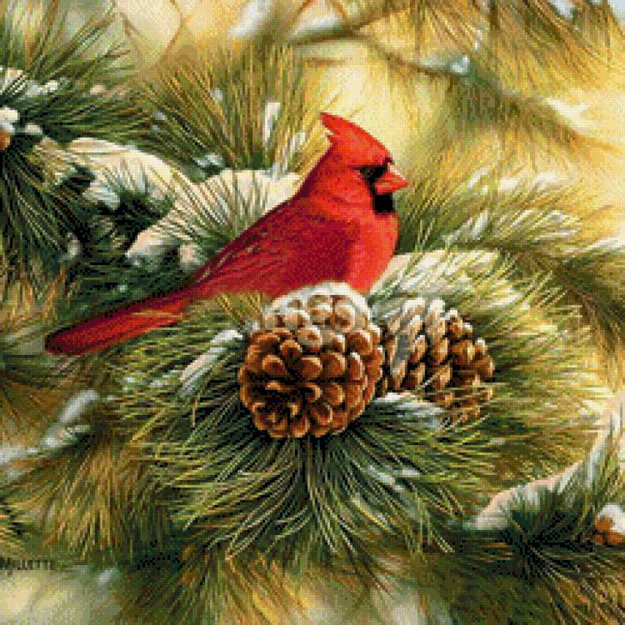 №621273 - предпросмотр