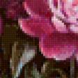 Предпросмотр схемы вышивки «пионы» (№621316)