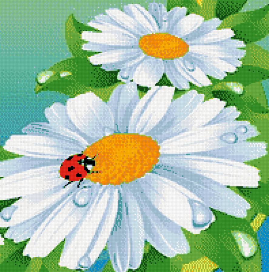 миленько - ромашка, цветы, жук, природа - предпросмотр