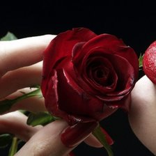 Схема вышивки «королевы»