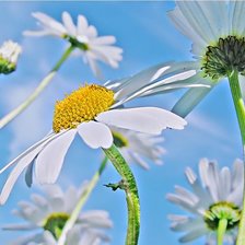 Схема вышивки «к солнышку»