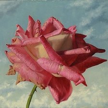 Схема вышивки «Из цикла Розы...»