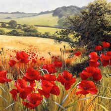 Схема вышивки «Маковое поле»