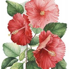 Схема вышивки «цветы»