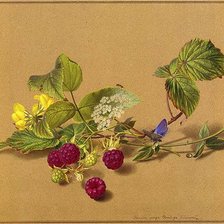 Схема вышивки «№621563»