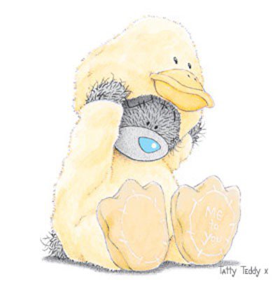 Тедди в утке - утка, костюм, медведь, тедди - оригинал