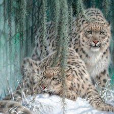 Схема вышивки «№621649»