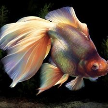 Схема вышивки «рыбка»