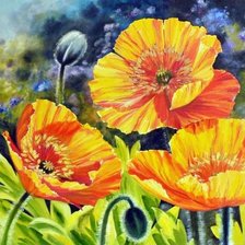 Схема вышивки «желтые маки»