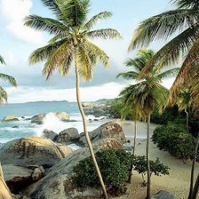 Схема вышивки «море пальмы»