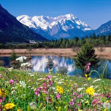 Схема вышивки «природа2»